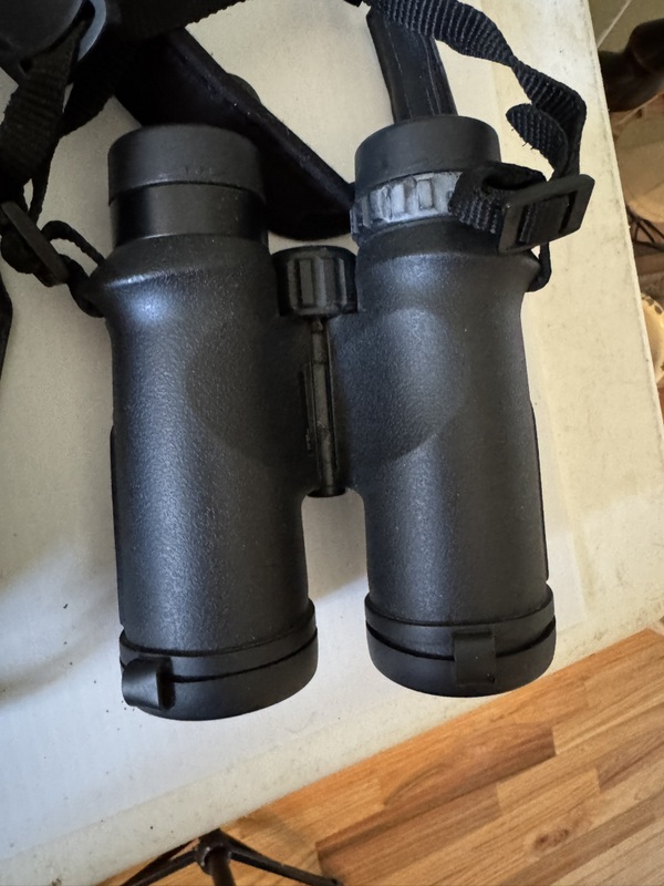 Two Bushnell Binoculars