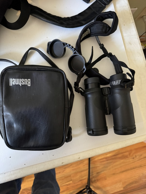 Two Bushnell Binoculars