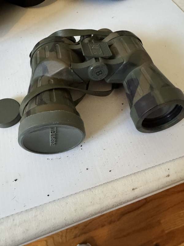 Two Bushnell Binoculars