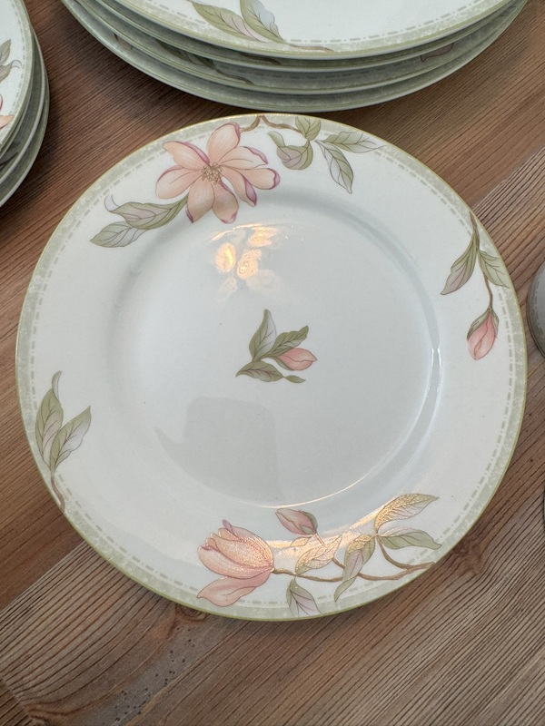 Oneida Fine Porcelain "Savannah"