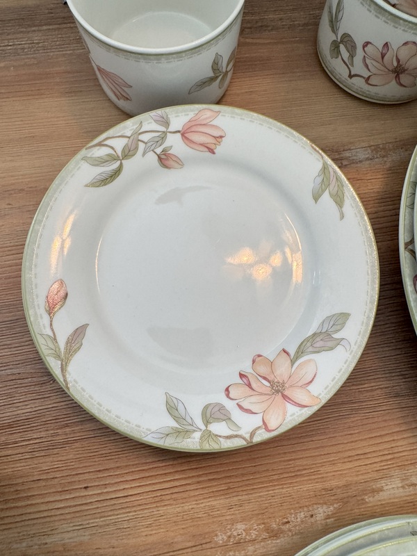 Oneida Fine Porcelain "Savannah"