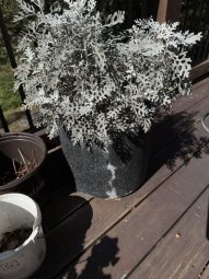 It;s a Fantastic Small Farm Sale in Cumming - Image 32