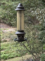 It;s a Fantastic Small Farm Sale in Cumming - Image 65