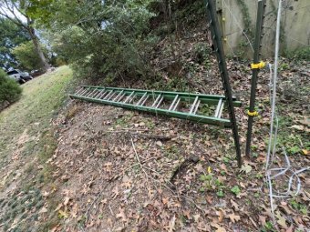 It;s a Fantastic Small Farm Sale in Cumming - Image 70