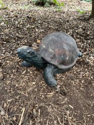 It;s a Fantastic Small Farm Sale in Cumming - Image 75