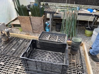 It;s a Fantastic Small Farm Sale in Cumming - Image 95