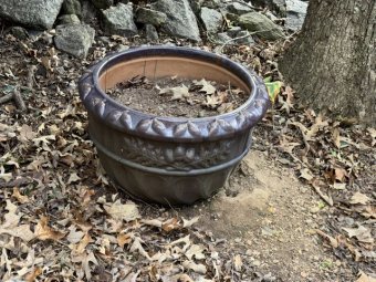 It;s a Fantastic Small Farm Sale in Cumming - Image 109