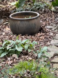 It;s a Fantastic Small Farm Sale in Cumming - Image 111