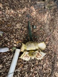 It;s a Fantastic Small Farm Sale in Cumming - Image 123