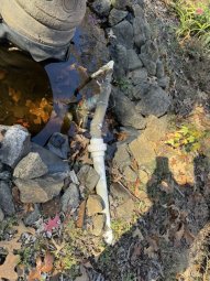 It;s a Fantastic Small Farm Sale in Cumming - Image 146