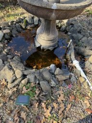 It;s a Fantastic Small Farm Sale in Cumming - Image 147