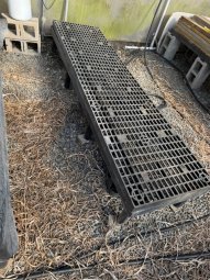 It;s a Fantastic Small Farm Sale in Cumming - Image 163