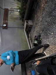 It;s a Fantastic Small Farm Sale in Cumming - Image 164