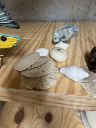 It;s a Fantastic Small Farm Sale in Cumming - Image 225