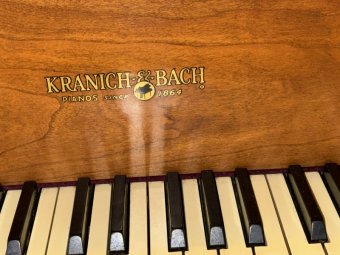 This is a Test Sale for Site Improvement, Nothing for sale - Image 99