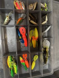 It;s a Fantastic Small Farm Sale in Cumming - Image 297