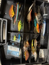 It;s a Fantastic Small Farm Sale in Cumming - Image 303