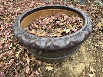 It;s a Fantastic Small Farm Sale in Cumming - Image 338