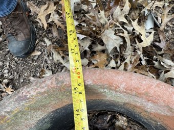 It;s a Fantastic Small Farm Sale in Cumming - Image 349