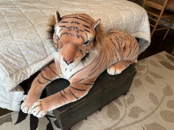 It's 50% Off Saturday, Enter a Mile South of McFarland on HWY 9 in Crooked Creek - Image 50