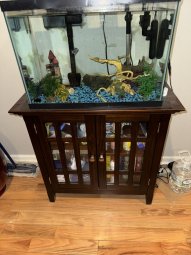 It's 50% Off Saturday, Enter a Mile South of McFarland on HWY 9 in Crooked Creek - Image 181