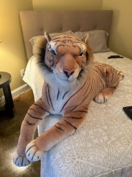 It's 50% Off Saturday, Enter a Mile South of McFarland on HWY 9 in Crooked Creek - Image 264