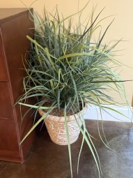 It's 50% Off Saturday, Enter a Mile South of McFarland on HWY 9 in Crooked Creek - Image 271