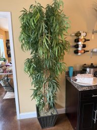 It's 50% Off Saturday, Enter a Mile South of McFarland on HWY 9 in Crooked Creek - Image 298