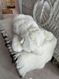 Moved 1 Week Forward:  Local Interior Designer.  Packed House on the Lake. - Image 55