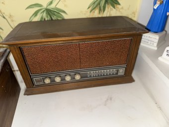 Moved 1 Week Forward:  Local Interior Designer.  Packed House on the Lake. - Image 103