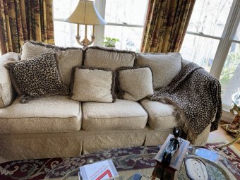 Moved 1 Week Forward:  Local Interior Designer.  Packed House on the Lake. - Image 131