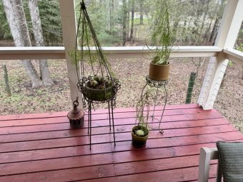 It's 50% Off Friday at Our Great Sale in Cumming - Image 180