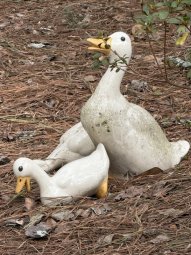 It's 50% Off Saturday in Lilburn for a  Treasure Trove... - Image 93