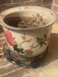 It's 50% Off Saturday in Lilburn for a  Treasure Trove... - Image 143