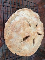 It's 50% Off Saturday in Lilburn for a  Treasure Trove... - Image 144