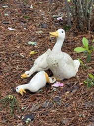 It's 50% Off Saturday in Lilburn for a  Treasure Trove... - Image 247