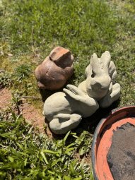 It's a Lifetime of Collection in Lilburn - Image 42