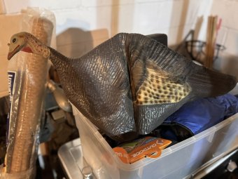 It's a Lifetime of Collection in Lilburn - Image 141