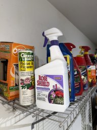 It's so Much Stuff You Have to See It to Believe It - Image 27