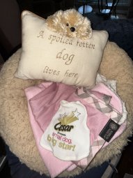 It's so Much Stuff You Have to See It to Believe It - Image 61