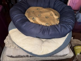 It's so Much Stuff You Have to See It to Believe It - Image 65