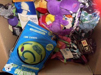 It's so Much Stuff You Have to See It to Believe It - Image 67