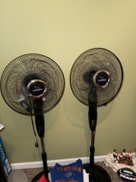 It's so Much Stuff You Have to See It to Believe It - Image 76