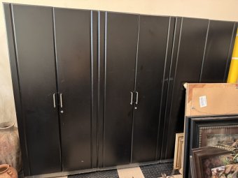 It's a Yellow Bird Bonanza in Chestatee - Image 2