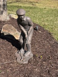 It's a Yellow Bird Bonanza in Chestatee - Image 4