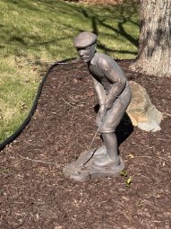 It's a Yellow Bird Bonanza in Chestatee - Image 5