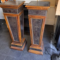 It's a Yellow Bird Bonanza in Chestatee - Image 9