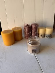 It's a Yellow Bird Bonanza in Chestatee - Image 10