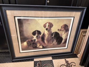 It's a Yellow Bird Bonanza in Chestatee - Image 14