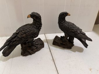 It's a Yellow Bird Bonanza in Chestatee - Image 17